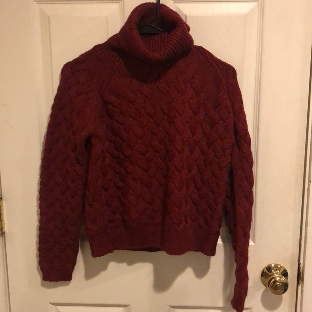 Cranberry Turtleneck